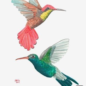 Meet your Posher, Lori